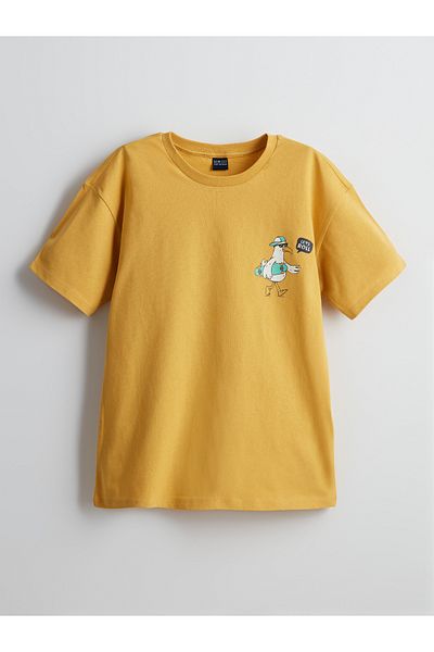 LC Waikiki Crew Neck Boy's T-Shirt