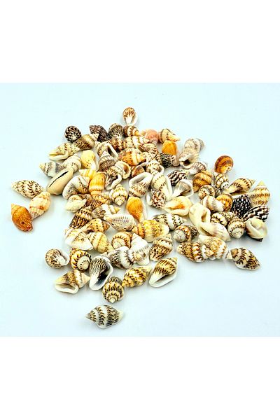 yiğit aksesuar 30Pcs Hollowed-Out Seashell Pendant Bracelet Ornaments