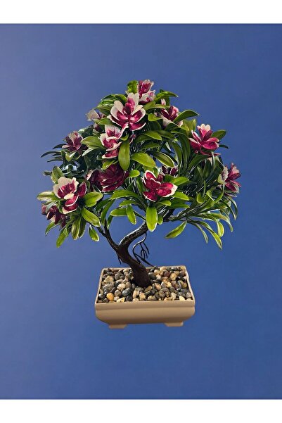 618 CONCEPT شجرة الأوركيد الاصطناعية