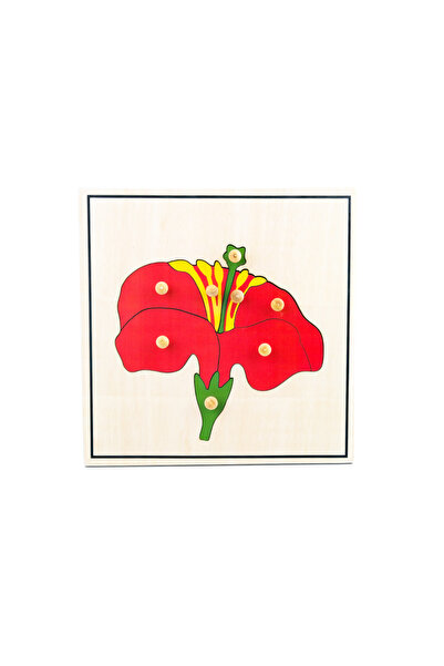 BALATOYZ لغز زهرة