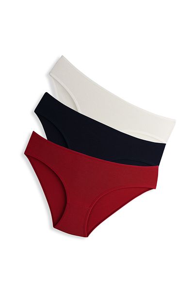 Lolitam Women's Panties Cotton Lycra 3 Pack