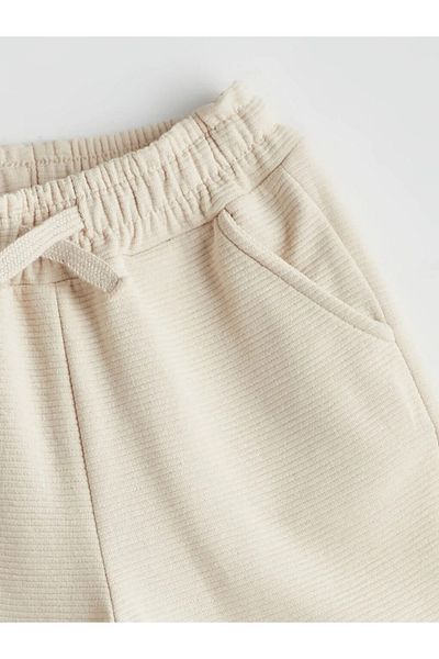 LC Waikiki Gray Basic Men Cooked Socks and Shorts 2 Kids: Akrstore