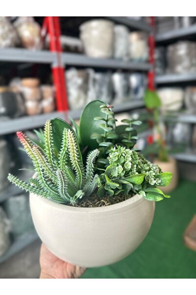 odka Yapay Bitkili Aranjman Saksı Çap: 20cmx Yükseklik: 12cm