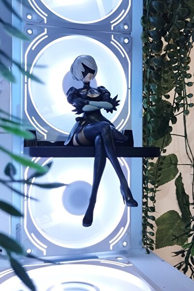 Caseybox Siyah Kasa İçi Figür Rafı 120x90 mm Oyun Pc Aksesuarı, Masaüstü Bilgisayar Figür Standı