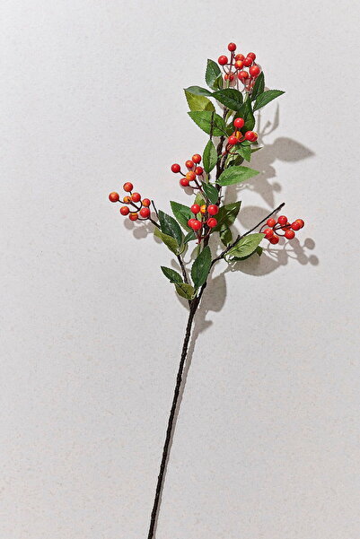 Paşabahçe Berry 74 cm Sarı