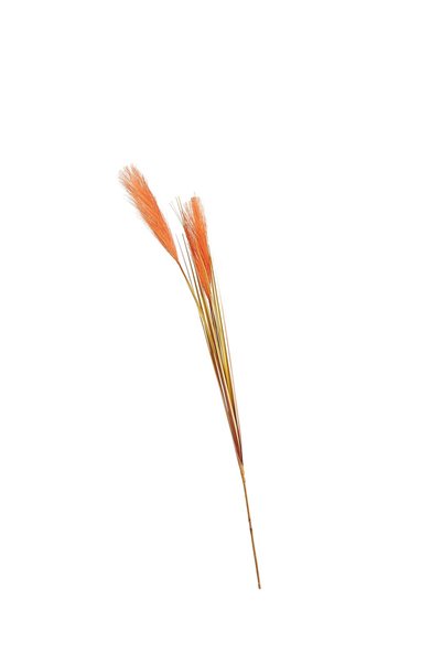 Paşabahçe Grass Turuncu / Bej 92 cm