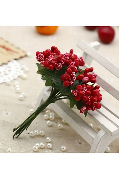 SavBrand Red Seed Chick 1 Ματσάκι, Αξεσουάρ για χόμπι και στολίδια