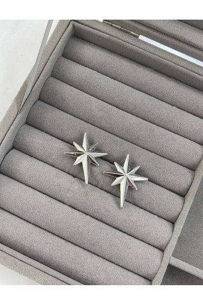 shop Pole Star Elegant Earrings