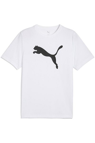 Puma Μπλούζα Puma Ess Poly T-shirt, Λευκό, Ανδρικό