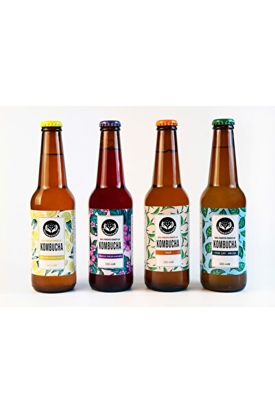 FERMENTEANA Kombucha (4)'lü Tanışma Paketi (330ML)