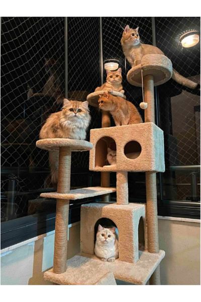Petilux Cat House Scratching Post Tower Ptlx-0063
