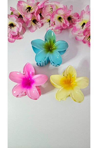 cityvision 3 τεμάχια Πόρπη με διπλό χρώμα Lotus