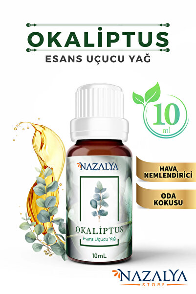 Nazalya Hava Nemlendiriciler için Uçucu Oda koku Yağı Okliptus Esansiyeli 10 ml