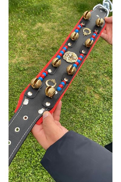 Sürmeli Tasma Genuine Leather Kangal Dog Collar with 8 Bells, Beads and Crescent Star