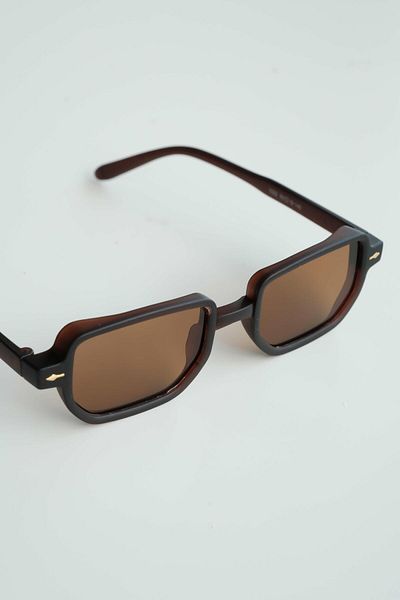 WATCHOFROYAL Royal Eyewear Re1022 Dark Brown Sunglasses