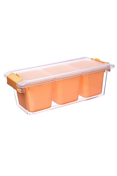 Herevin 1.96 Lt Orange 3 Compartment Lockable Storage Container 12.1 cm X 28.5 cm X 10 cm