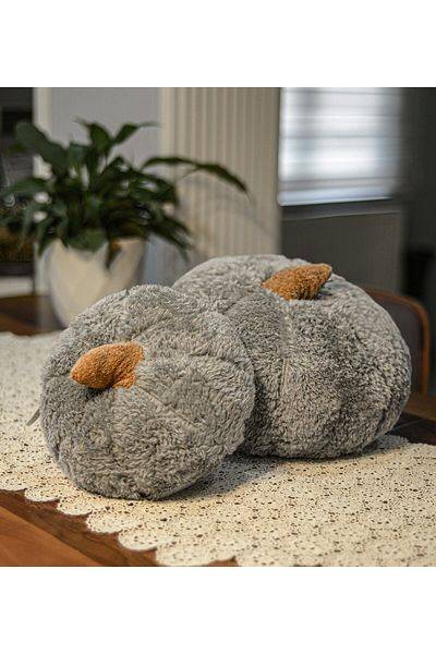 Pandamkee Decorative 2-Piece Plush Pumpkin Throw Pillow