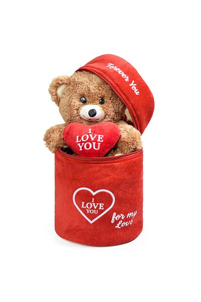 Pababo Special 141 Plush Bag with Special Heart (I Love You) Written Cute Plush Teddy Bear