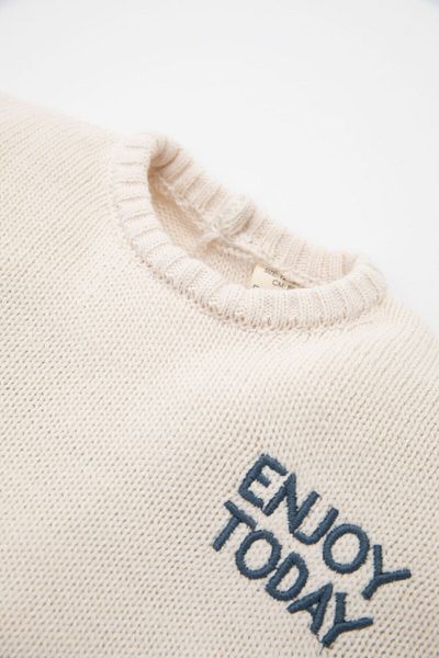 DeFacto Baby Boy Crew Neck Printed Knitwear Sweater A3851A524Au