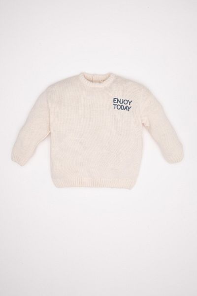 DeFacto Baby Boy Crew Neck Printed Knitwear Sweater A3851A524Au
