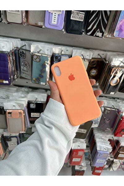 TECNOTREND Apple iPhone XS MAX Uyumlu Altı Kapalı Içi Kadife Lansman
