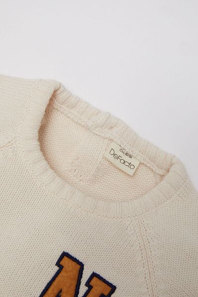 DeFacto Baby Boy Crew Neck Embroidered Knitwear Sweater C8870A524Wn