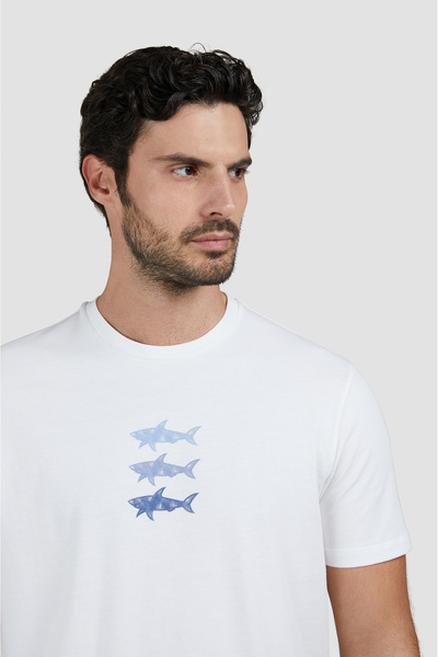 PAUL&SHARK Cotton t Shirt