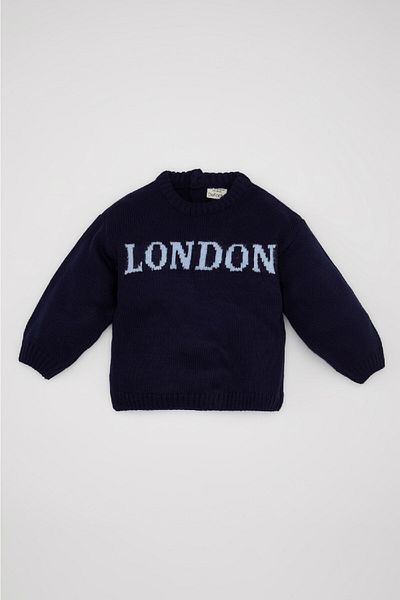DeFacto Baby Boy Navy Blue Printed Knitwear Sweater C8867A524Wn