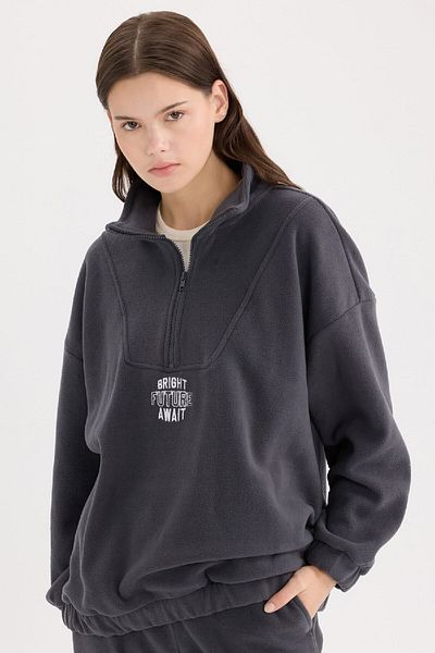 DeFacto Stand Collar Embroidered Oversize Fleece Sweatshirt - Zippered Y2649Az24Wn