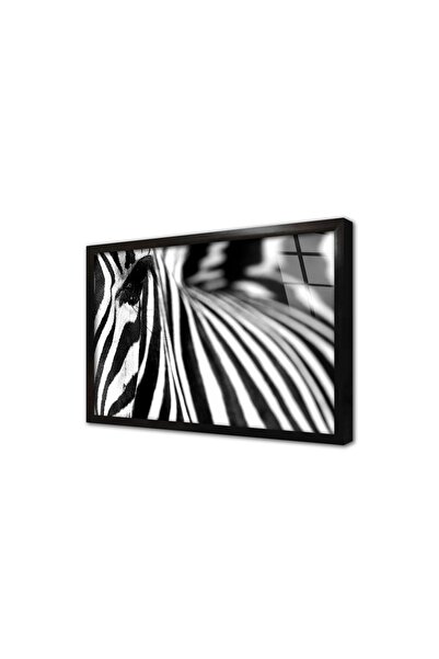 Tablosan Tablou de sticlă înrămare cu zebra 30x40 cm