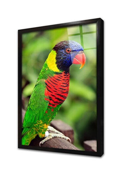 Tablosan Tablou din sticlă înrămată cu papagal colorat 30x40 Cm