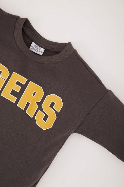 DeFacto Baby Boy Crew Neck Printed Soft Feather Inside Sweatshirt D0710A524Wn