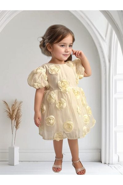 morwind Girl's Dress Rose Bow Detailed Birthday Special Occasion Dress