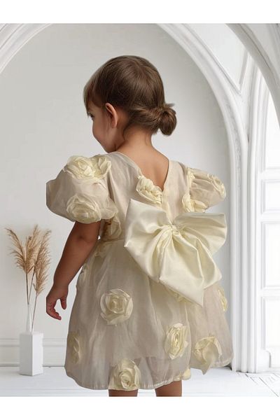 morwind Girl's Dress Rose Bow Detailed Birthday Special Occasion Dress