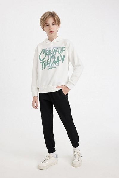 DeFacto Boy's Text Printed Hooded Sweatshirt C9801A824Wn