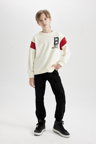 DeFacto Boy's Crew Neck Back Printed Thick Sweatshirt C9796A824Au