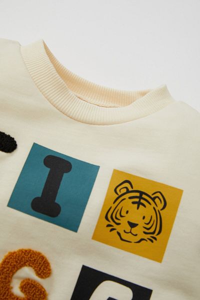 DeFacto Baby Boy Crew Neck Printed Sweatshirt D2934A524Wn
