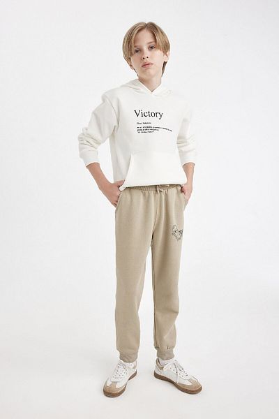 DeFacto Boy's Printed Hooded Thick Sweatshirt D3092A824Au