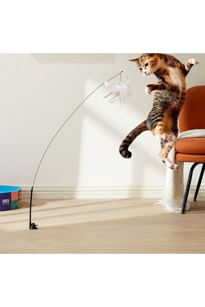 shop Cat Play Rod with Suction Cup and Feather Bell