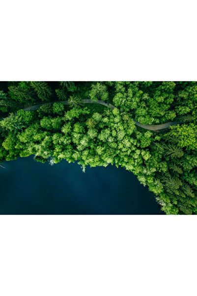 Zumzeria Πίνακας σε καμβά Just Perfect Green From Above, 80x50εκ., tableaucan...