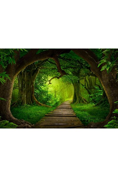 Zumzeria Καμβάς Tablou Μαγικό Μονοπάτι του Δάσους στο Δάσος, 80x50εκ., tablou...