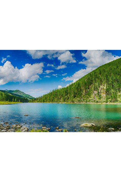 Zumzeria Tablou Canvas Sunlight Over Green Mountains And Water, 80x50cm, tabl...