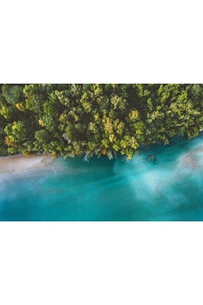 Zumzeria Tablou Canvas Αεροφωτογραφία Δέντρων και Γαλάζιων Νερών, 80x50εκ., t...
