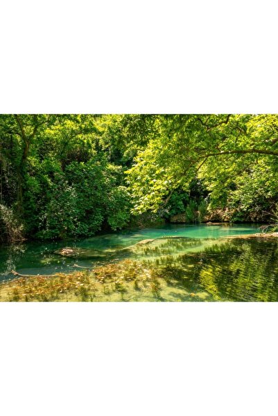 Zumzeria Πίνακας σε καμβά Πράσινο Δάσος σε Αντανάκλαση Νερού, 80x50εκ., canva...