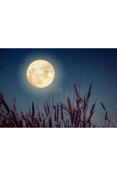 Zumzeria Tablou Canvas Full Moon Over Field, 80x50cm, tabloucanvas1016, Zumze...