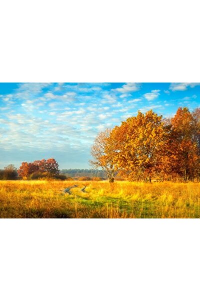 Zumzeria Tablou Canvas Orange Autumn Over Field, 80x50cm, tabloucanvas367, Zu...