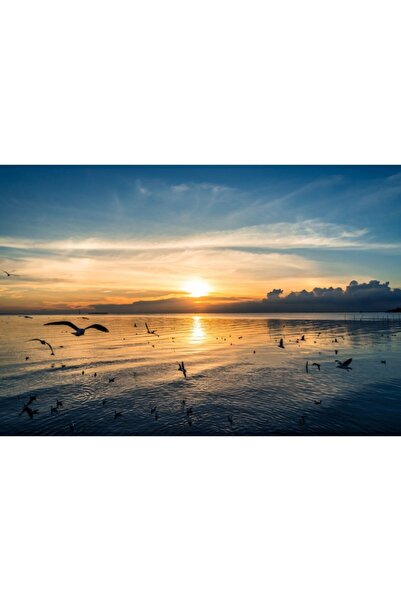 Zumzeria Картина върху платно Птици при залез, 80x50 см, Картина върху платно...