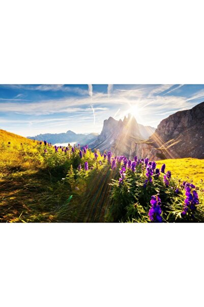 Zumzeria Tablou Canvas Alpine Meadow Under The Warm Sunlight, 80x50cm, tablou...