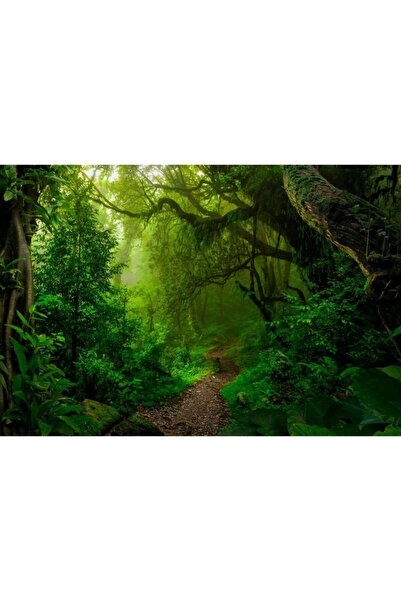 Zumzeria Καμβάς Tablou Mystic Path In the Dense Bright Green Forest, 80x50εκ....