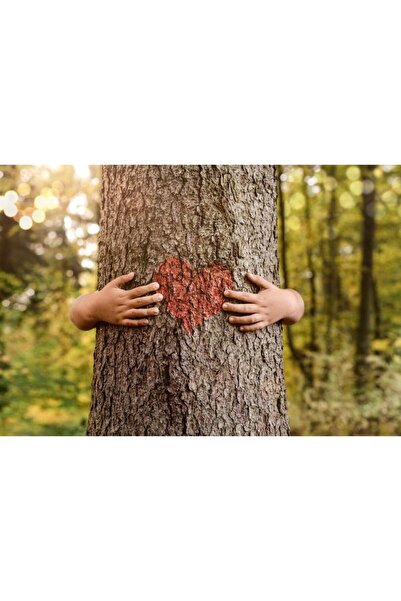 Zumzeria Tablou Canvas Connected With Nature, 80x50cm, tabloucanvas1029, ®